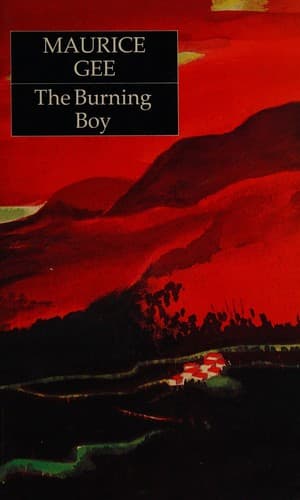Tapa de The burning boy