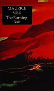 Tapa de The burning boy