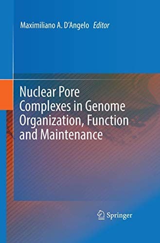 Tapa de Nuclear Pore Complexes in Genome Organization, Function and Maintenance