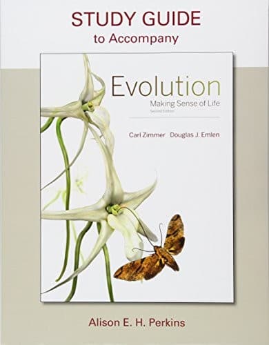 Tapa de Evolution
