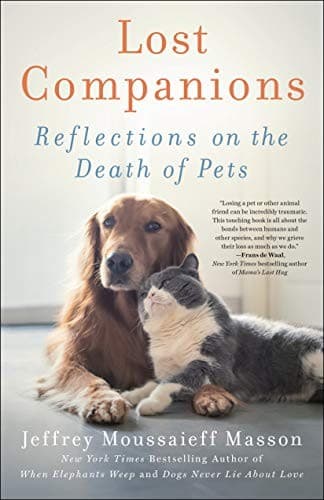 Tapa de Lost Companions