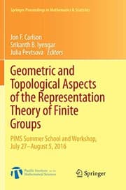 Tapa de Geometric and Topological Aspects of the Representation Theory of Finite Groups
