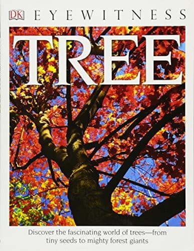 Tapa de DK Eyewitness Books : Tree