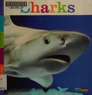 Tapa de Sharks