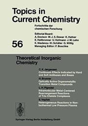Tapa de Theoretical Inorganic Chemistry