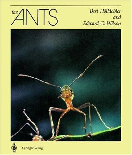 Tapa de The ants
