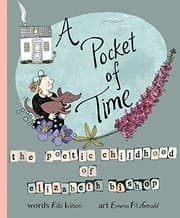 Tapa de A Pocket of Time