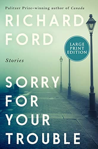 Tapa de Sorry for Your Trouble
