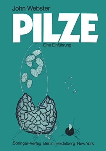 Tapa de Pilze
