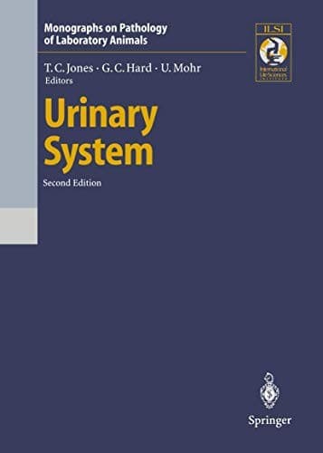 Tapa de Urinary System