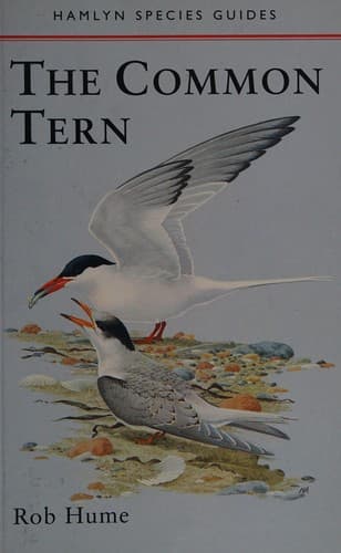 Tapa de The Common Tern