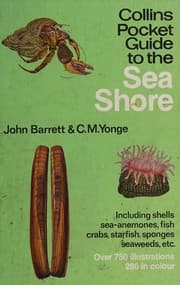 Tapa de Collins pocket guide to the sea shore