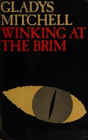 Tapa de Winking at the brim