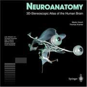 Tapa de Neuroanatomy