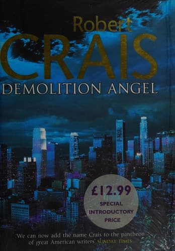 Tapa de Demolition angel