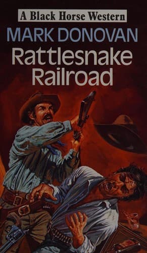 Tapa de Rattlesnake railroad