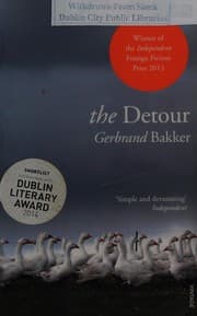 Tapa de The detour