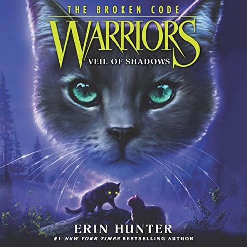 Tapa de Warriors : The Broken Code #3
