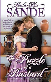 Tapa de The Puzzle of a Bastard