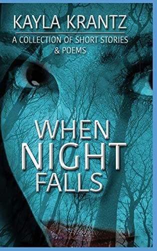 Tapa de When Night Falls