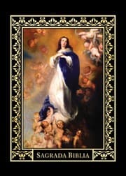 Tapa de SAGRADA BIBLIA Edicion Inmaculada