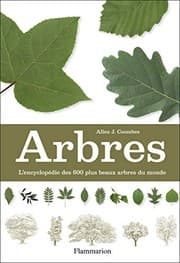 Tapa de Arbres