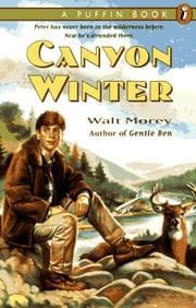 Tapa de Canyon winter