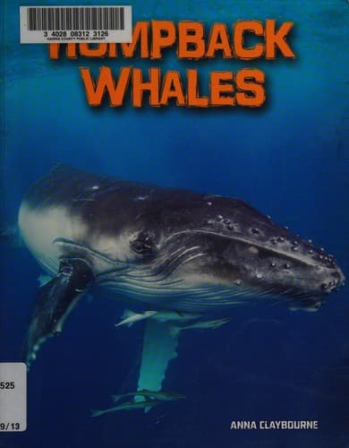 Tapa de Humpback whales