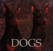 Tapa de Dogs