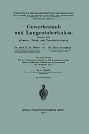 Tapa de Gewerbestaub und Lungentuberkulose : Zweiter Teil