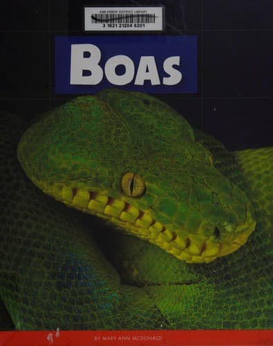 Tapa de Boas