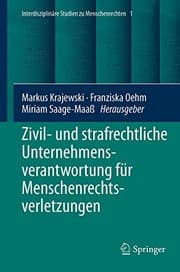 Tapa de Zivil- und strafrechtliche Unternehmensverantwortung für Menschenrechtsverletzungen