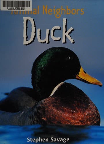 Tapa de Duck