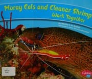 Tapa de Moray eels and cleaner shrimp work together