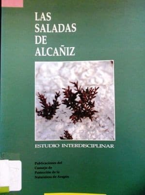 Tapa de Las saladas de Alcañiz