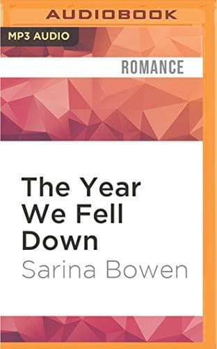 Tapa de The Year We Fell Down