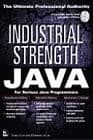 Tapa de Industrial Strength Java
