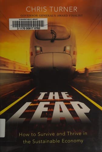 Tapa de The leap