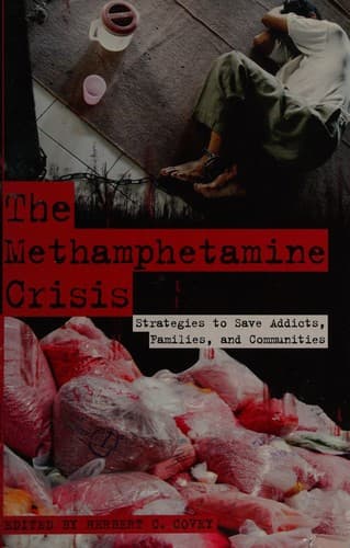 Tapa de The methamphetamine crisis