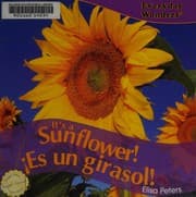 Tapa de It's a sunflower!