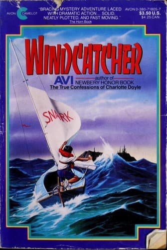 Tapa de Windcatcher