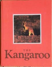 Tapa de The kangaroo
