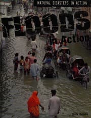 Tapa de Floods in action