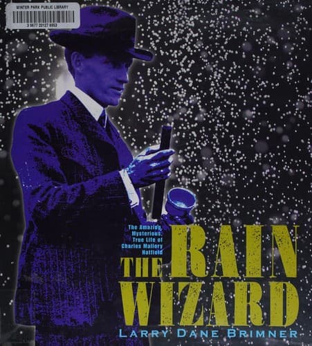 Tapa de The rain wizard