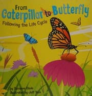 Tapa de From caterpillar to butterfly