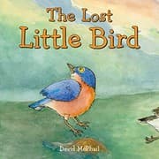 Tapa de The Lost Little Bird