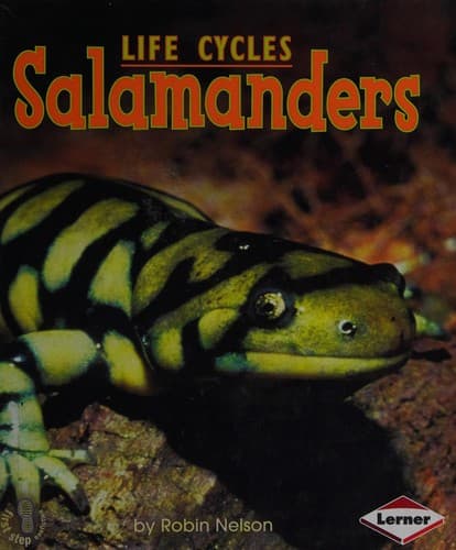 Tapa de Salamanders
