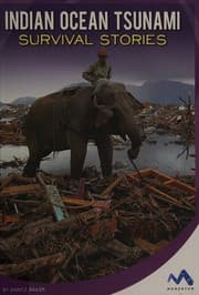 Tapa de Indian Ocean tsunami