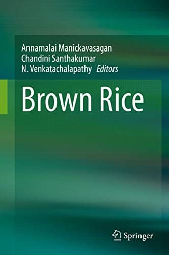 Tapa de Brown Rice