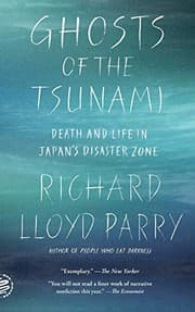 Tapa de Ghosts of the tsunami